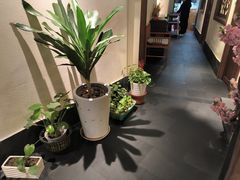 -鸽舞笙平金牌烧鸽子·融合菜(鲁谷店)