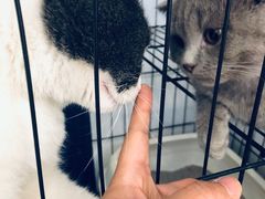 -颐玖 咖啡|甜品