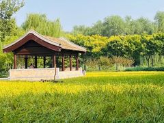-北坞公园