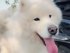 -洨河生态公园