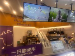 -一只酸奶牛(来福士店)