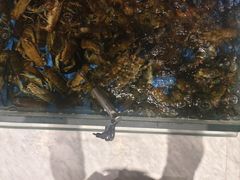 -川骄海鲜自助(河东店)