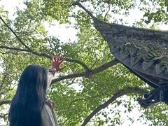 -严子陵钓台(富春江小三峡)