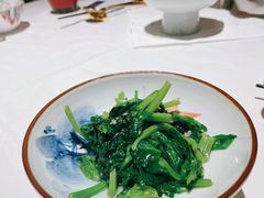 梅香咸鱼头手紫菜炒豆苗-广舟(千禧店)