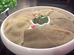 空运绿色毛肚-渝利重庆火锅