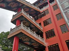 -东莞市大岭山森林公园
