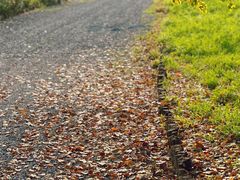 -梁鸿国家湿地公园
