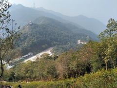 -梧桐山风景名胜区