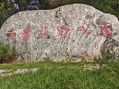 -西青郊野公园