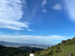 -大姆山草场