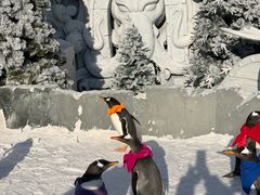 -波塞冬旅游度假区