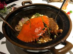 -新同乐鱼翅酒家(美丽华店)