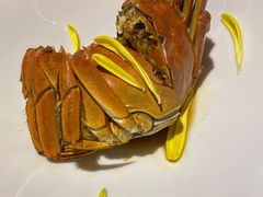 -湖里春风·淮扬菜(丽泽天街店)