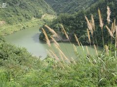 -磐安舞龙峡景区