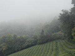 -敬亭山风景名胜区