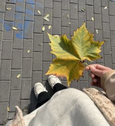 -时纪母女写真父母纪念照(静安店)