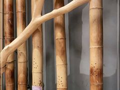 -隐泉之语日式料理(王府中环店)