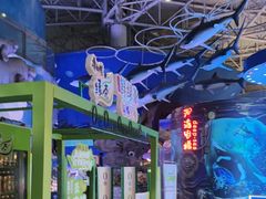 -烟台海昌鲸鲨海洋公园