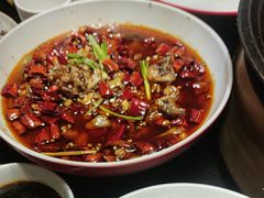 -辣尚瘾·烤鱼·新川菜(交大直营店)