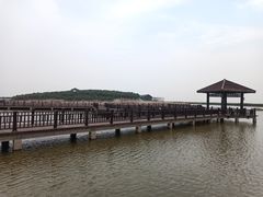 -南大港湿地风景区