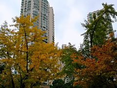 -苏州河梦清园环保主题公园