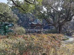 -申粤轩酒楼·三十年粤菜经典(丁香花园店)