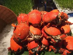 -味餐厅·海鲜·火锅·自助餐