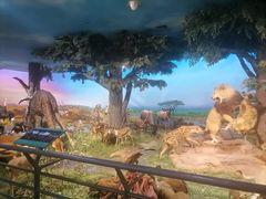 -国家自然博物馆