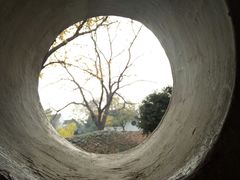 -阊门姚记豆浆(旧学前直营店)