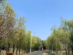 -艾溪湖湿地公园