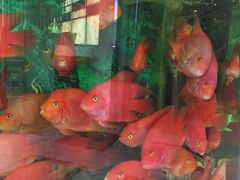 -悦来酒家·正宗闽南菜(西街店)