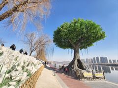 -咸阳湖景区