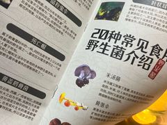 -一朵菌·野生菌探索家火锅(南亚店)