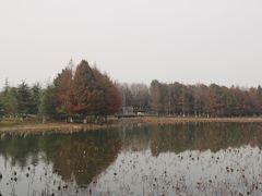 -苏州东太湖生态园