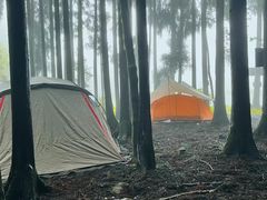 -武陵山森林公园