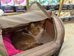 -美联众合动物医院·24h转诊中心