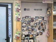-宠颐生宠物医院·异宠猫科内科·诊疗中心宠巢店