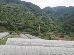 -千岛湖九龙溪漂流