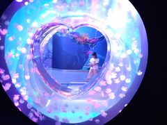 -海合安成都极地海洋公园