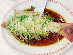 -凤城礼记鱼翅海鲜酒家(新马路总店)