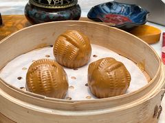 -唐猫庭院·千年陕菜(大唐不夜城店)