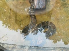 -海南热带野生动植物园