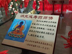 -龙口南山旅游景区