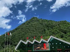 -牛背梁国家森林公园