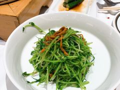豆苗-喜宴又一村·粤菜·茶点·海鲜(壹方天地店)