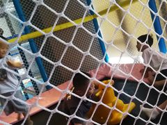 -成都蒲江花样年福朋喜来登度假酒店·宜客乐西餐厅