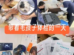 -格蕾宠物医院24H·猫科·肿瘤科·骨科中心(福州总院)