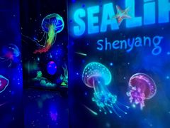 -沈阳海洋探索中心