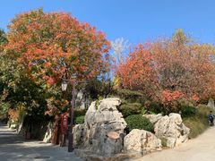 -八大处公园