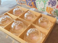 -帕帕拉兹宠物(亚洲旗舰店)